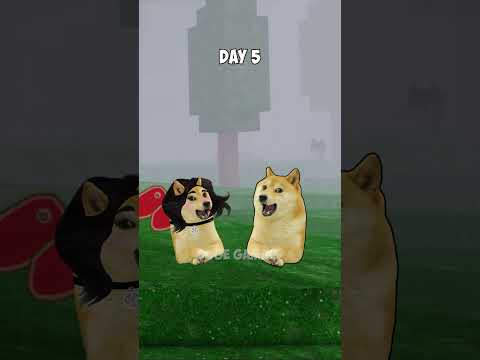 bro never comeback😭  | Doge Gaming