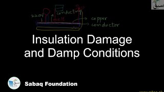 Insulation Damage and Damp Conditions