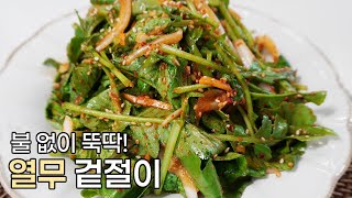 불 안 쓰고 만드는 여름반찬! 열무 겉절이 레시피