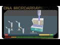 Microarray Technology and Applications