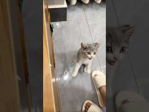 Performance 💞💞 #shorts #shortsfeed #trendingshorts #performance