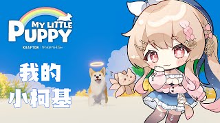 我的小柯基｜準備好你的衛生紙我們來洗滌心靈【Healing希靈/VTuber】