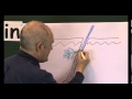 Functions and Structures of Hair