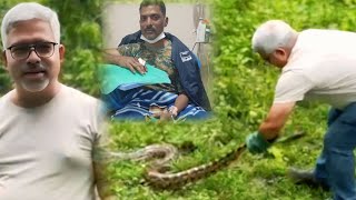 Razak Shah hospital mein admit है इसलिए प्रवीण कपूर Sir ने python को रिलीज किया #kingcobra #python 