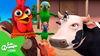 Hay un Gallo en La Granja 🐓 LA GRANJA DE ZENÓN 🧑‍🌾 Canción Infantil | El Reino Infantil