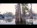 Atchafalaya Basin Environmental Impact