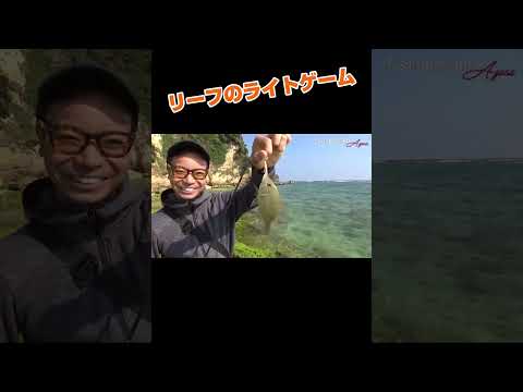 リーフのライトゲーム #沖縄釣り #fishing #リーフ