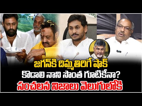 కొడాలి నాని సొంత గూటికేనా? | Analyst Ankam Rao On YCP Leaders Resignation | YS Jagan | Kodali Nani