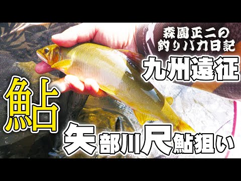 九州遠征 【矢部川尺鮎】中州の夜は最高やった！森園正二の釣りバカ41-3