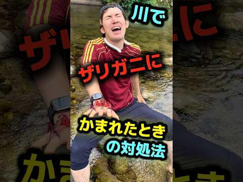 川でザリガニにかまれた時の対処法🦞#shorts