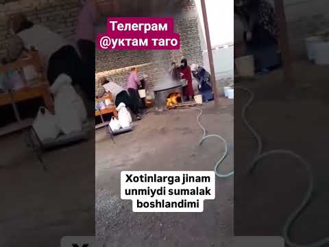 #сурхандарья #сумасшествие #тренды #шоубизнес