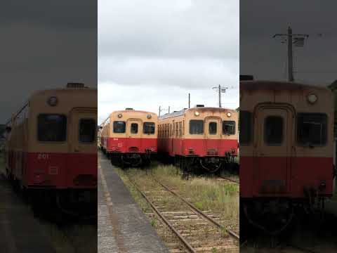 【小湊鐵道】2026.5.28-遅延 short版 #小湊鐵道 #キハ200 #shorts