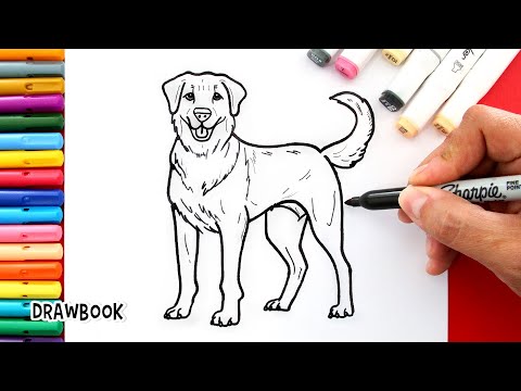 How to draw a GOLDEN RETRIEVER easy - Step-by-Step Tutorial for Dog Lovers!