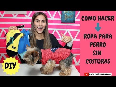 COMO HACER ROPA PARA PERRO - DIY - MASCOTAS