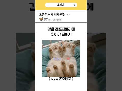 T3스택
