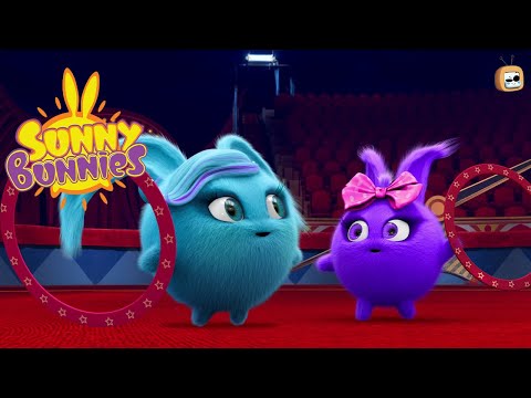 Sunny Bunnies – Big Boo’s Funny Hand Juggling ADVENTURE! 🤹‍♂️ | English cartoon for kids