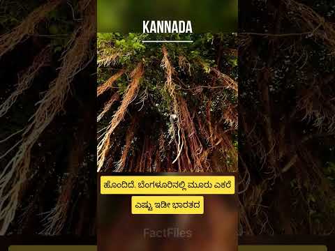 ಆಲದ ಮರ - The Banyan Tree