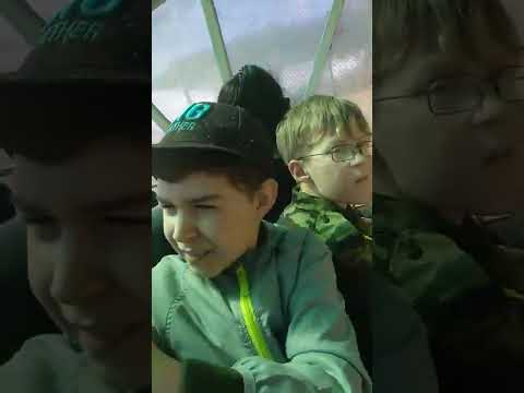 как мило😊 наблюдаем за верблюдами!😉👍