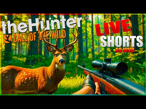 🔴LIVE shorts ✔AO VIVO 😎💥✔theHunter: Call of the Wild™ 📢✔#thehuntercallofthewild ✔