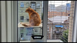 видео