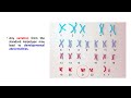 Karyotyping and Chromosomal Analysis
