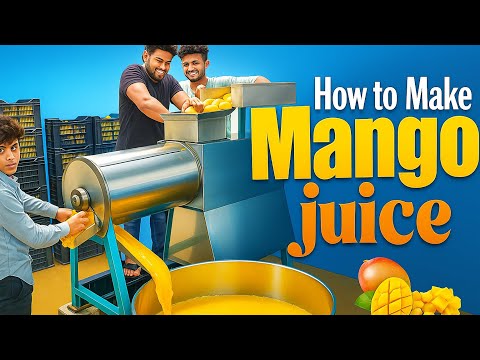 How to Make Mango Juice in Bulk | Desi Style Mango Processing Factory – Full Juice Making Process