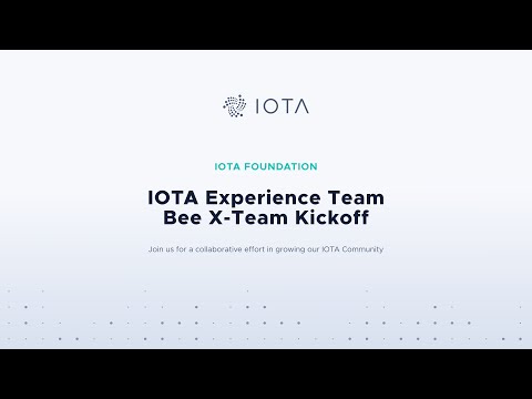 2020-05-19 IOTA Experience Team Bee Kickoff Meeting