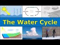 Understanding the Water Cycle