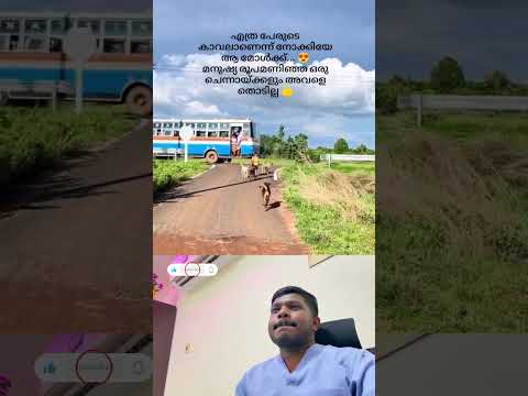 പ്രിയപ്പെട്ടവർക്കുള്ള കാത്തിരിപ്പാണ്👍#family #dog #love #yotubeshort #shorts #trading #youtubeshort