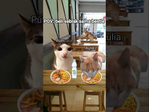 POV: beli seblak sama bestie #kucing #kucinglucu #kucingmeme #meme #shorts