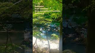 Wasser.. .die Kraft  das reinigende Element