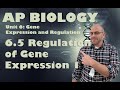 Gene Expression and Regulation Concepts
