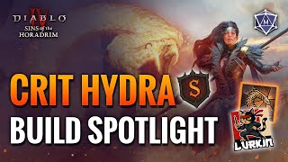CRIT HYDRA Sorcerer Build Spotlight | Diablo IV Season 9