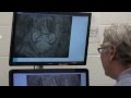 Fossil Preparation Techniques and Tools