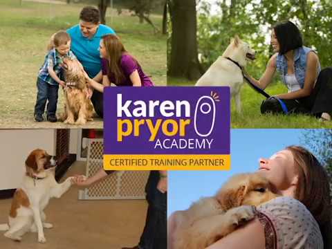 Karen Pryor Training 12 2021