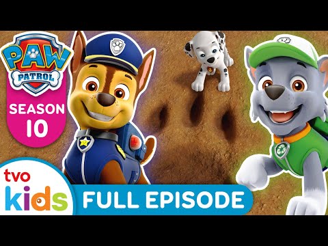 Jungle Pups: Pups Save the Big, Big Animals 🦛  | 🐾 PAW PATROL 🐶 | Rescue Dogs | Season 2 | TVOkids