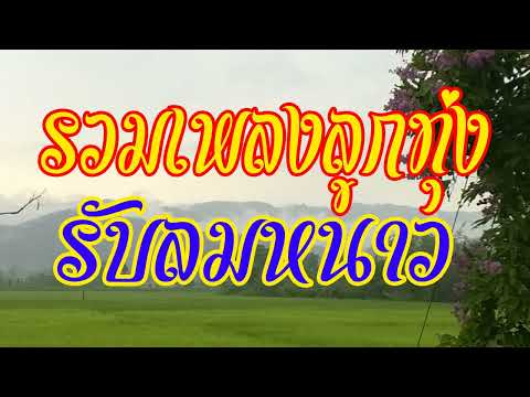 รวมเพลงลุกทุ่ง รับลมหนาว