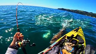 It Fed a Community?! (Insane Fishing)