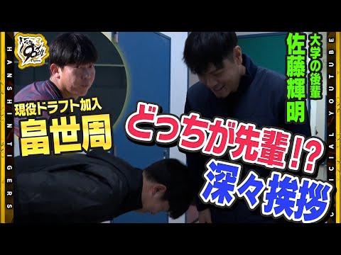 【自主トレ】現役ドラフトで加入#畠世周 選手が鳴尾浜球場で自主トレを公開！早速ブルペンで約30球を熱投！大学の後輩・#佐藤輝明 選手とも遭遇で深々挨拶！