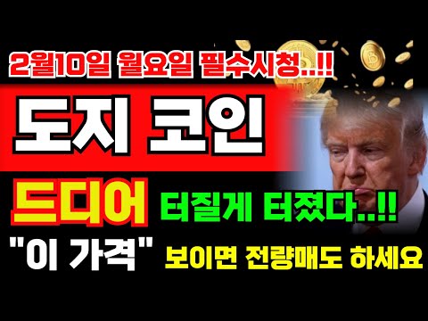 [도지 코인] 4분전 긴급속보...!! 드디어 터질게 터졌습니다.. "이 가격" 보이면 전량 매도하세요