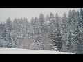Winter Wonders  -Cozy Instrumental Music by Roary