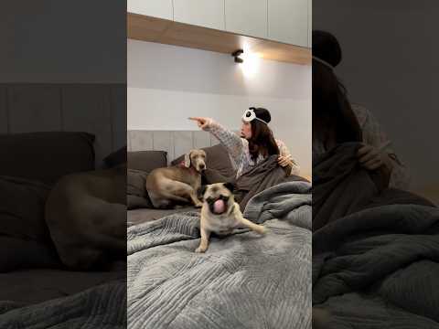 袥袝袪袗 袙蝎袚袧袗袥袗 小袨袘袗袣 馃槩