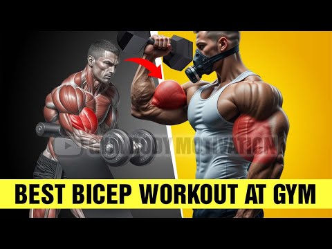 Best Bicep Workout at Gym Guide For Fast Growth Naturally