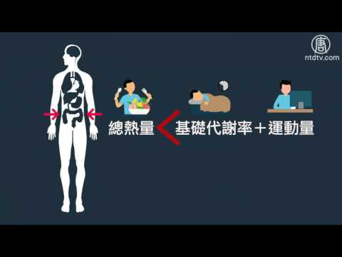 ‘基礎代謝率’是什麼？│醫學小教室│體重控制│減肥│熱量│健康1+1