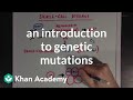 Exploring Genetic Mutations and Their Types