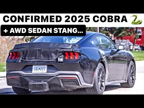 It’s True! COBRA! 🐍 & AWD SEDAN STANGS Coming! *Dealer Meetings