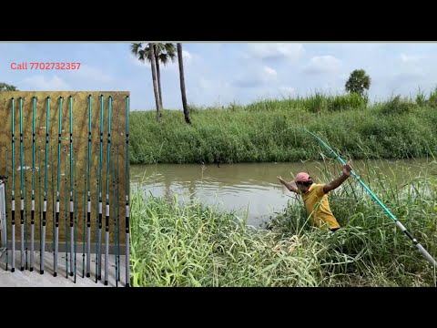 Amazing fishing catch big cat fish || with 10 feet rainbow stick ||big fish catch tiqunics