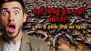 जहाँ बिच्छू डंक मारना भूल जाते हैं | Amroha का चमत्कार"#ScorpionMystery#Indian Mystery#AmrohaDargah