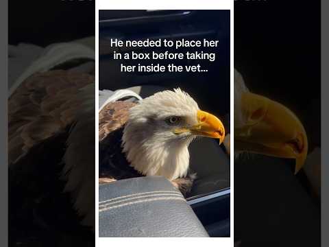 He kept his promise ♥️ #wholesome #animal