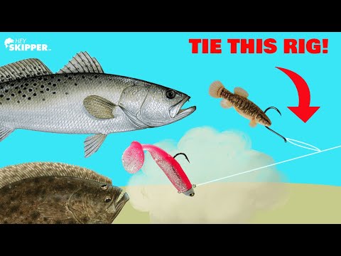 SMARTEST Fishing Rig to Catch ANY SPECIES! (Tandem Rig)